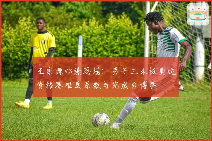 王宗源vs谢思埸:男子三米板奥运资格赛难度系数与完成分博弈