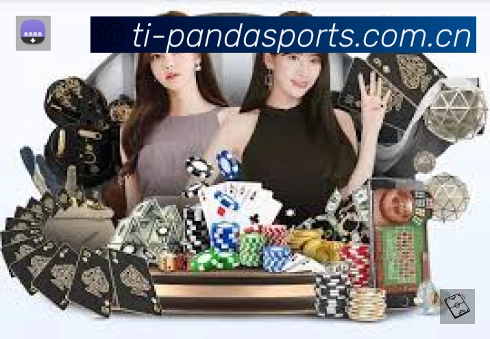 熊猫体育安全运营支持